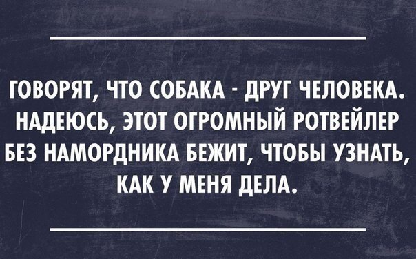 Позитивные и смешные картинки с надписями из сети 