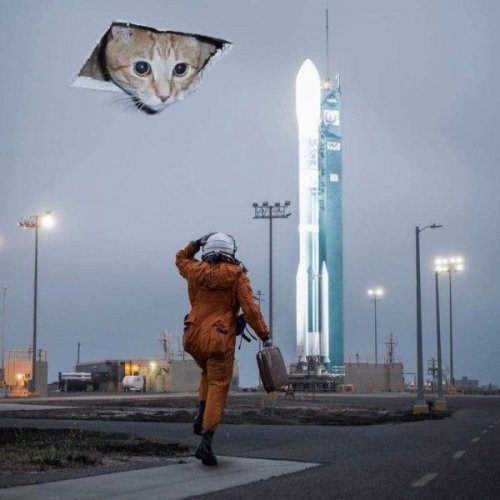 Фотоприколы дня!