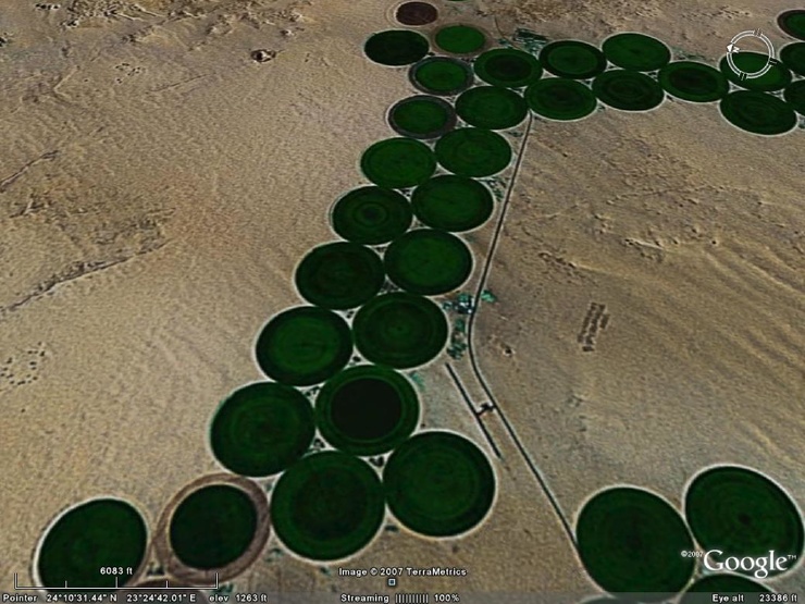 Горькие плоды сладких мечтаний. Горькие плоды сладких мечтаний. геополитика