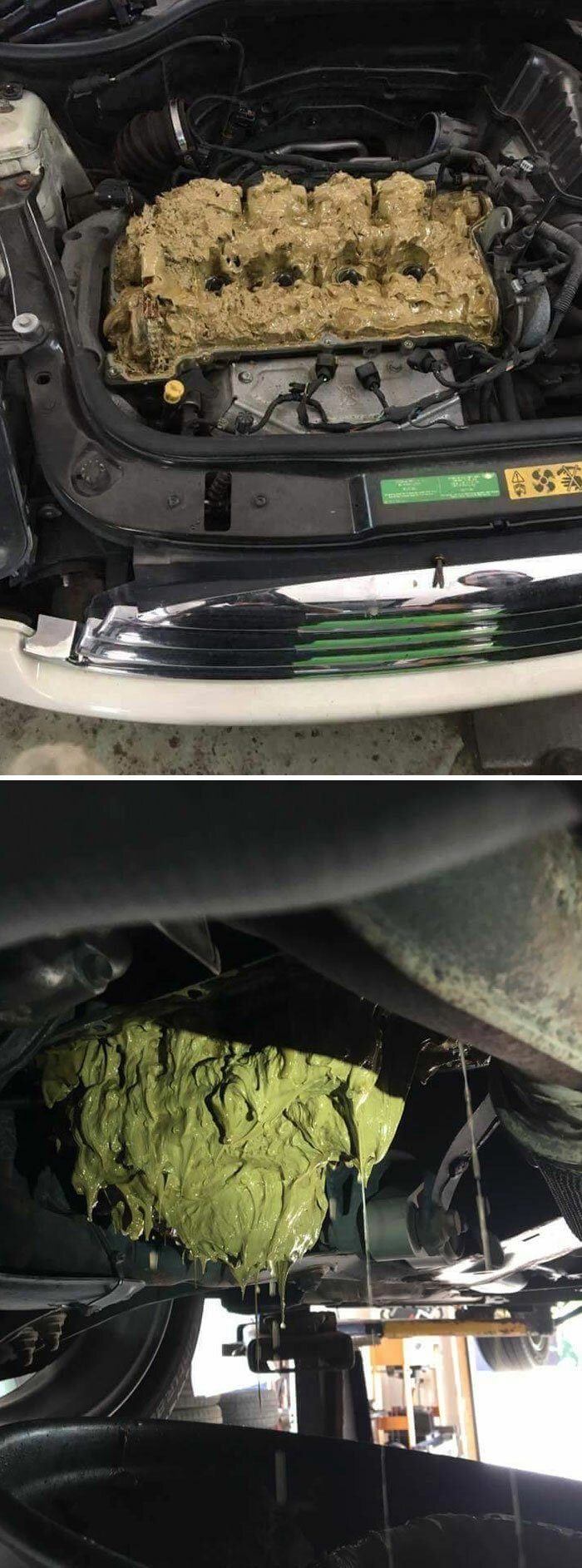 У вас сегодня был неудачный день? Поверьте, у этих 25 людей всё куда хуже У вас сегодня был неудачный день? Поверьте, у этих 25 людей всё куда хуже курьезы,юмор