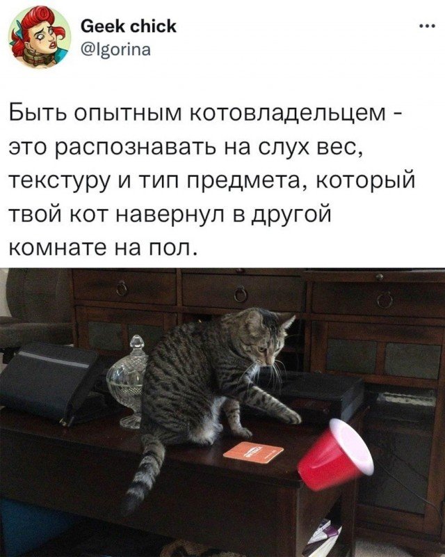 Смешные комментарии к постам в социальных сетях  позитив,смешные картинки,юмор