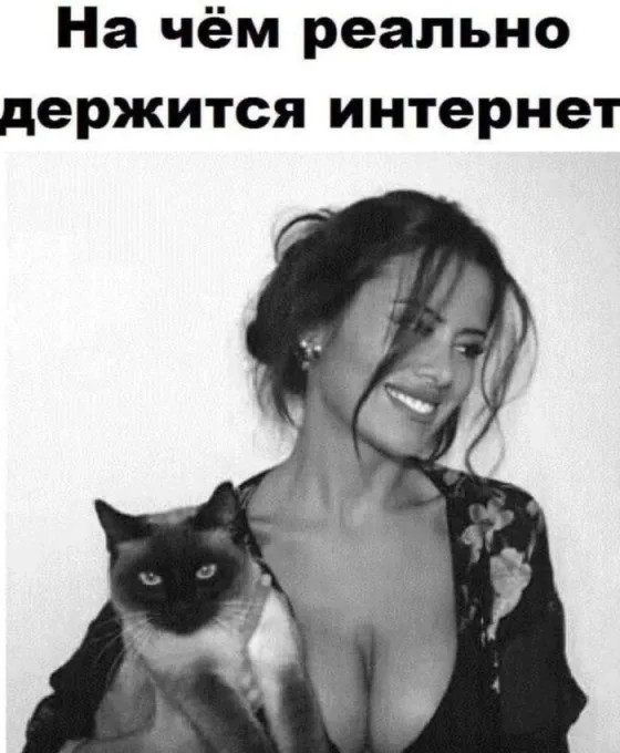 Сборник мемов для взрослых с черным юмором