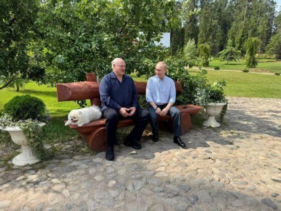 президенты встретились на валааме