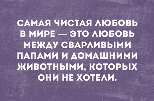 Жизненный юмор: смешные шутки Жизненный юмор: смешные шутки