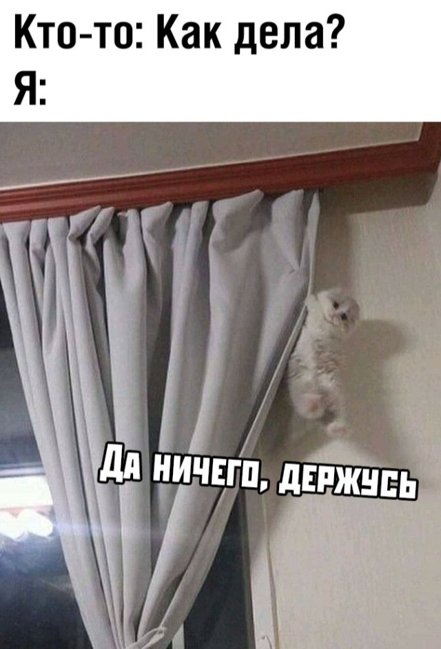 Подборка смешных картинок.  