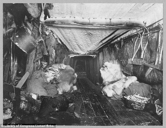 Жилище инуитов: деревянный пол и шкуры животных