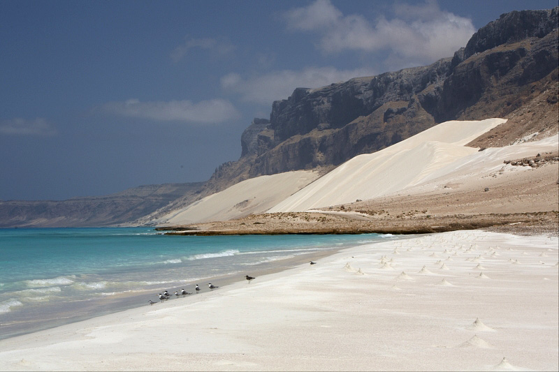 Неземные пейзажи Сокотры Неземные пейзажи Сокотры авиатур