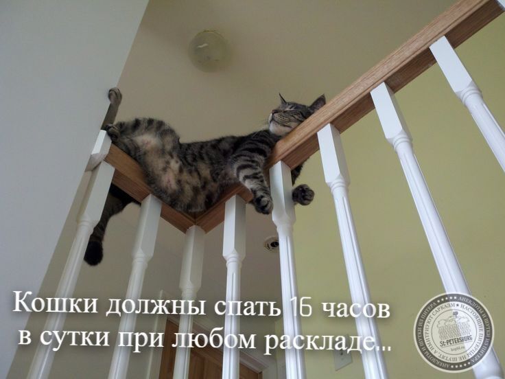 Учеба