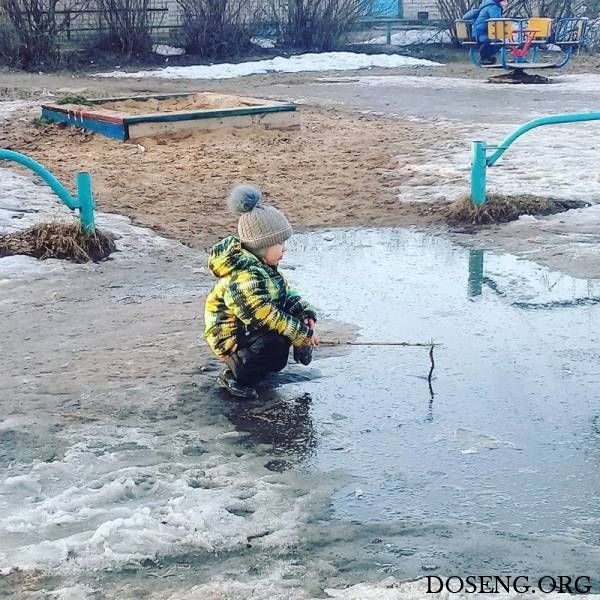 Прикольные картинки