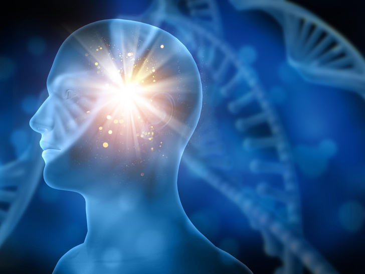 Загадочное серое вещество: 15 фактов о мозге, которые просто не приходили нам в голову здоровье и медицина,наука