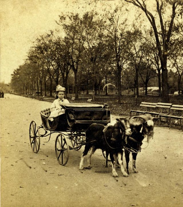 Таким был Нью-Йорк в 1870-х года. Редкие фотографии интересное,интересные факты,история,факты,фотография