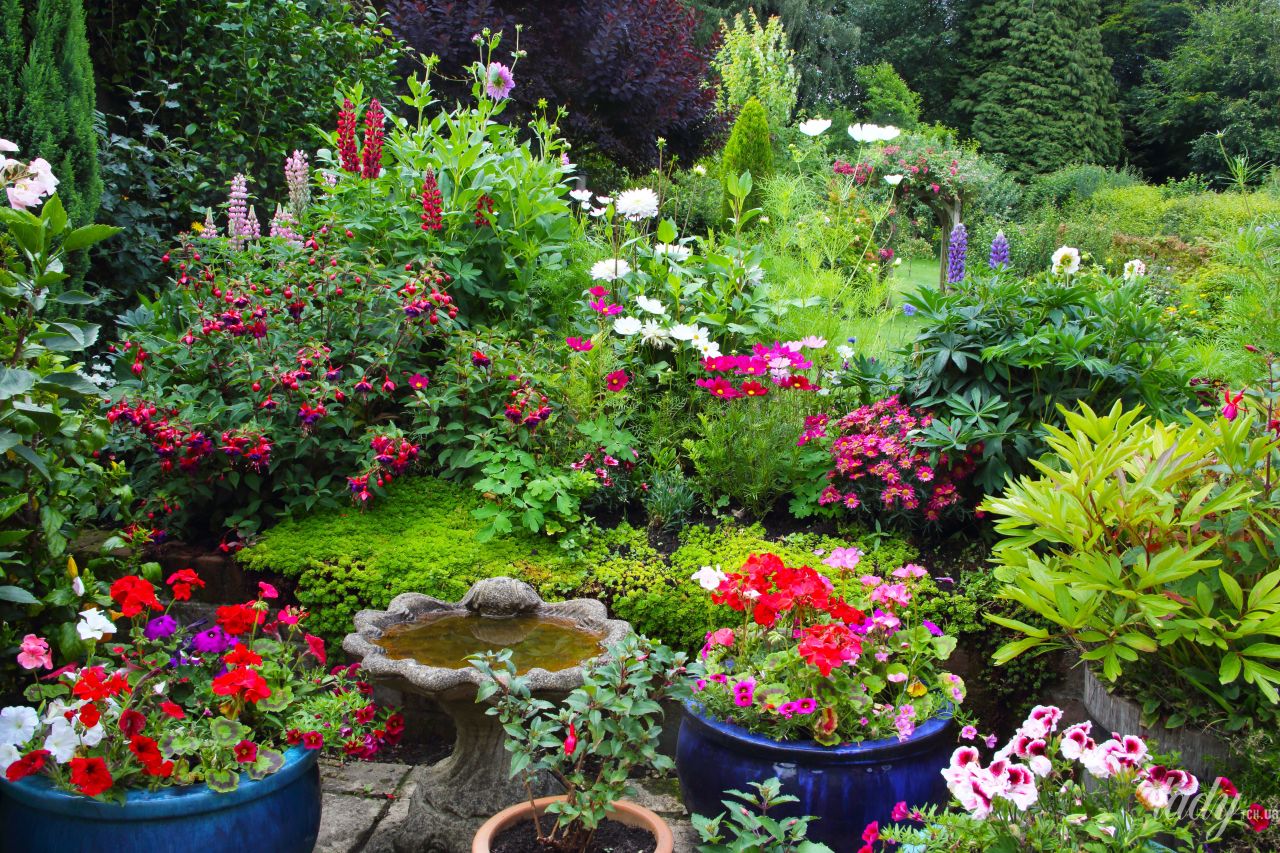 Как создать клумбу непрерывного цветения дача,сад и огород,цветоводство