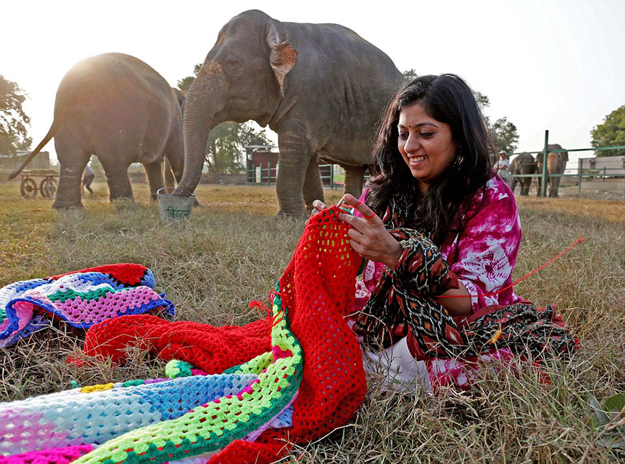 people-knit-giant-sweaters-rescue-elephants-7