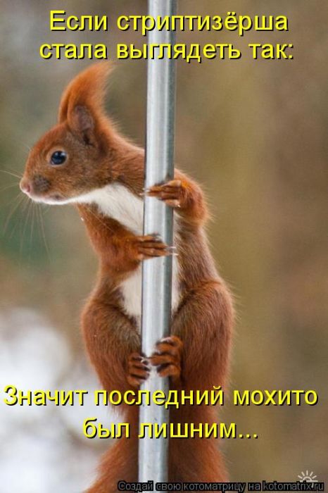 Мысли вслух :)