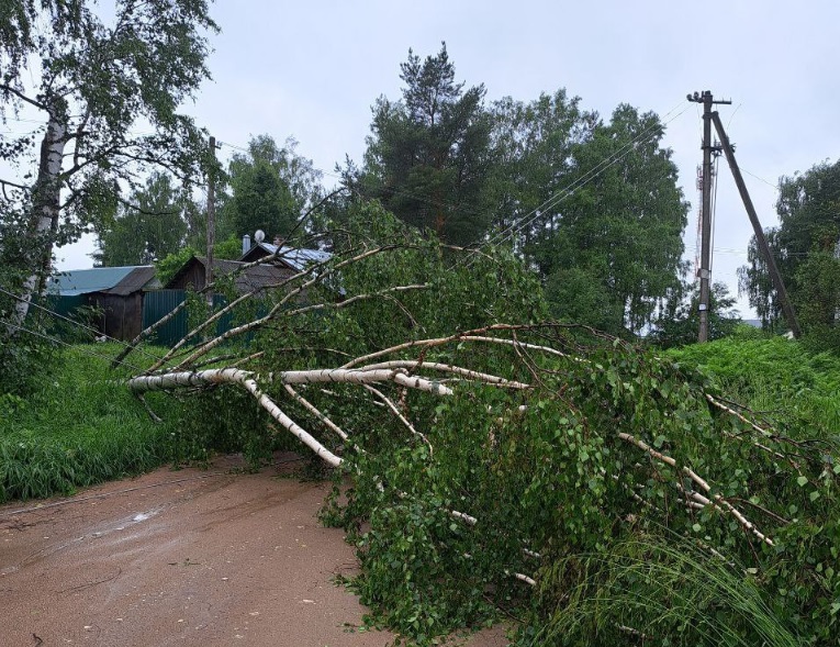 Во Владимирской области сильный ветер обесточил ряд населенных пунктов
