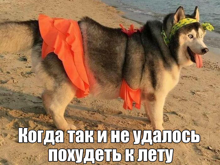 Самые свежие смешные картинки с надписями до