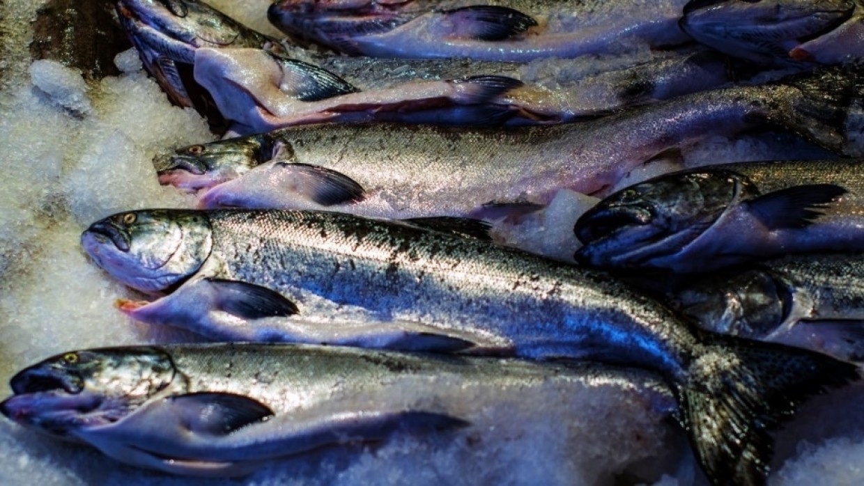 Сломанный хвост может указывать на несвежесть рыбы