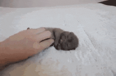 Классные гифки на выходные Классные гифки на выходные прикольные гифки ржака, смешные гифки до слез