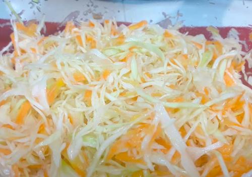 Вкусные салаты из свежей капусты. Салат со свежей капустой и морковью с уксусом, как в столовой