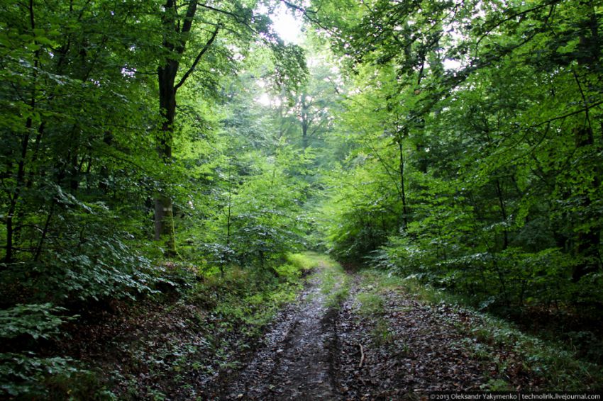 фоторепортаж, история, бункер, война