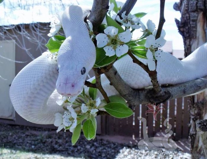 Подборка картинок. Дневной выпуск (53 фото)