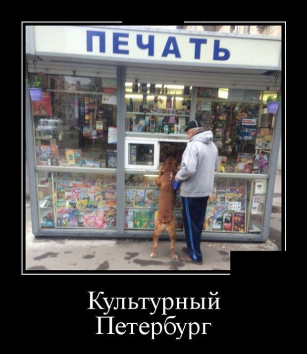 Пятничные демотиваторы для веселья (11 фото)