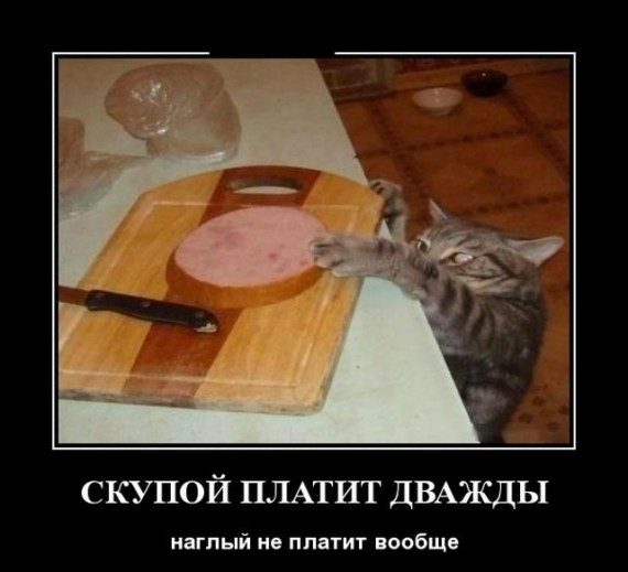 Прикольные демотиваторы дня!