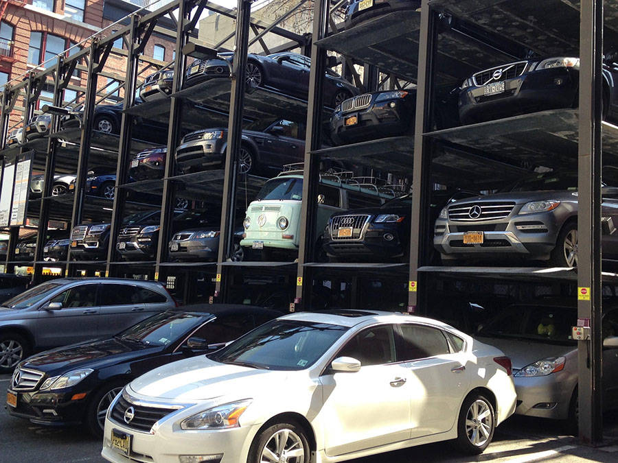 Забавные картинки для хорошего настроения Забавные картинки для хорошего настроения животные,жизнь,звери,земля,котики,коты,курьезы,мир,питомцы,планета,приколы,природа,смешное,собаки,факты,фауна,флора,щенки,юмор