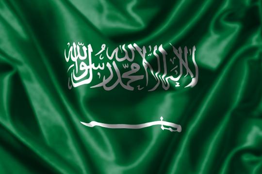 Саудовский переворот. Тайна саудовских принцев