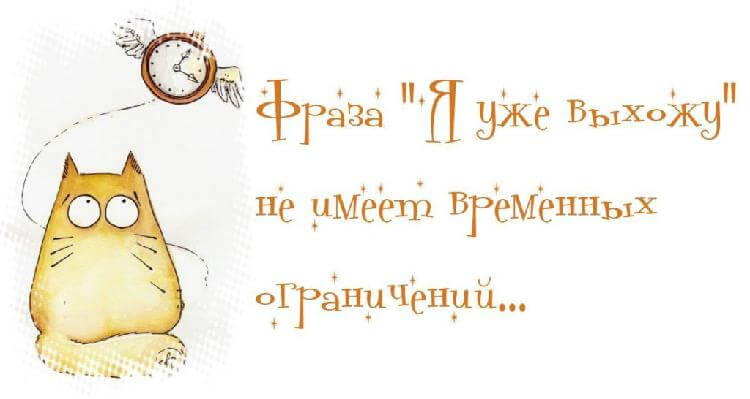 15 смешных цитат о жизни женщины 15 смешных цитат о жизни женщины