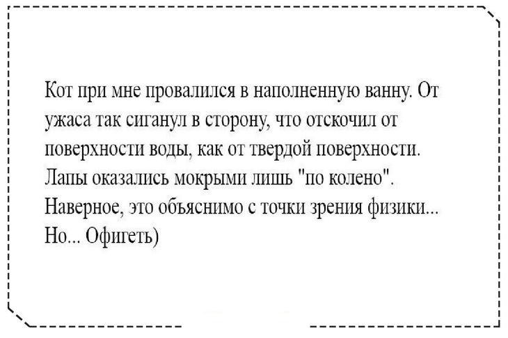Несколько добрых и забавных жизненных историй, которые поднимают настроение 