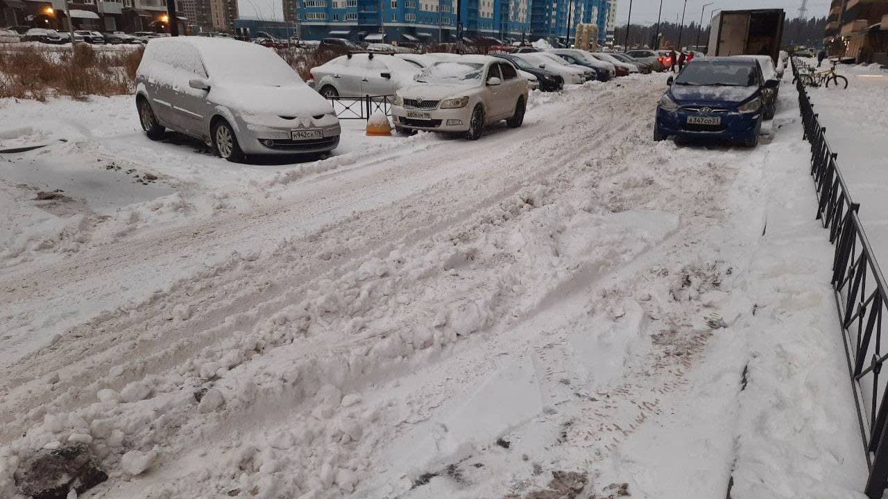 Петербуржцы предвкушают испорченные выходные на фоне предстоящего снегопада