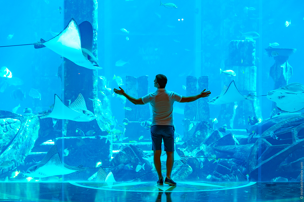 Дубай: успеть за 10 дней авиатур