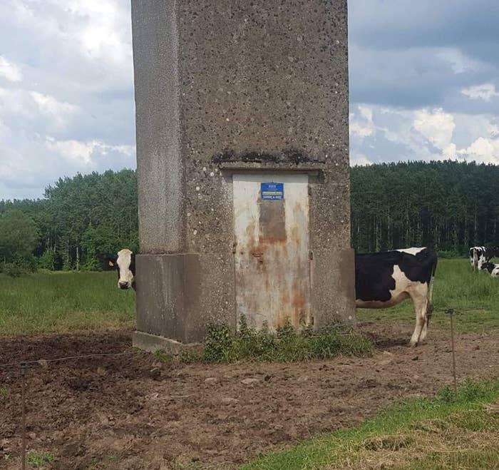 Откуда ноги растут? 17 фотографий, снятых с необычного ракурса, полностью искажают реальную картину выглядит, фотографии, самом, фотография, съемки, просто, другой, углом, итоге, здание, которая, трамвай, лобовом, образом, штаны, которые, кажется, создает, ощущение, снимает