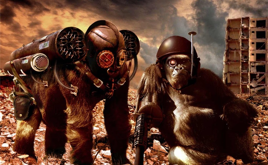 Ю.Ф.Орангутан-попадан Ю.Ф.Орангутан-попадан