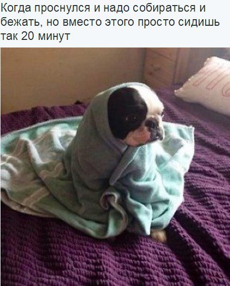 Позитивные картинки и классные фотографии для улыбки красивые фотографии,угарные фотки,фото приколы,шикарные фотографии