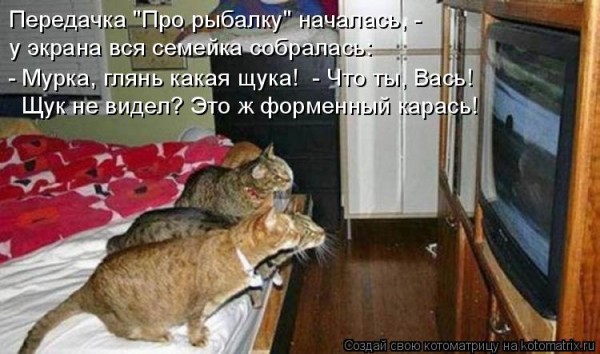 Мысли вслух :)