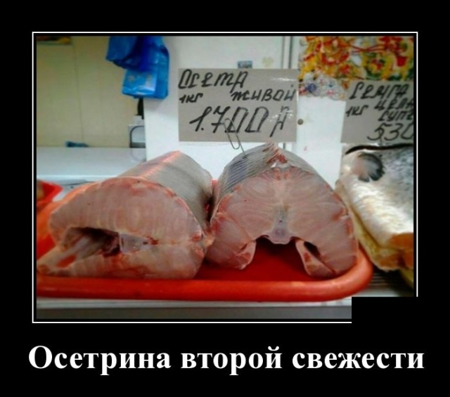 Подборка интересных и веселых картинок №61 Подборка интересных и веселых картинок №61 отдых