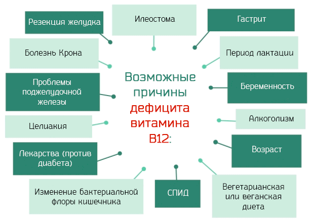 Опасные последствия дефицита витамина В12: симптомы и болезни витна, дефицит, может, кислорода, витамина, вызывает, нехватки, нервных, когда, нехватке, сопровождается, потеря, симптомов, эритроцитов, развитии, организме, слабость, функций, проявляется, центрального