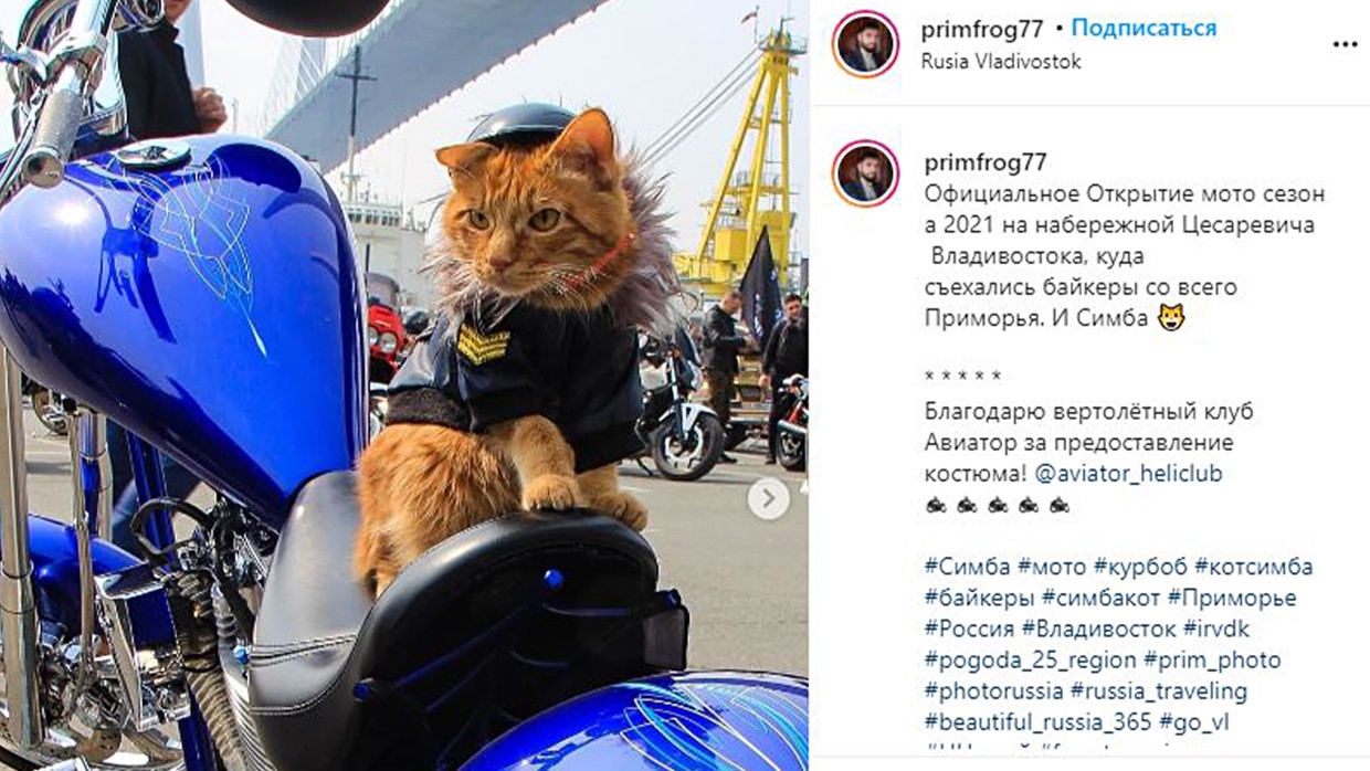 Кот Симба в крошечном шлеме очаровал гостей на открытии байкерского сезона во Владивостоке