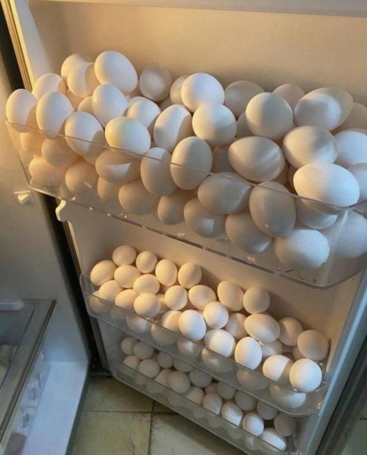 Подборка прикольных картинок Подборка прикольных картинок приколы,смешные картинки,юмор