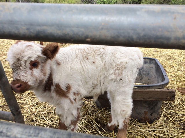 Мимишные фото от которых на душе станет теплее