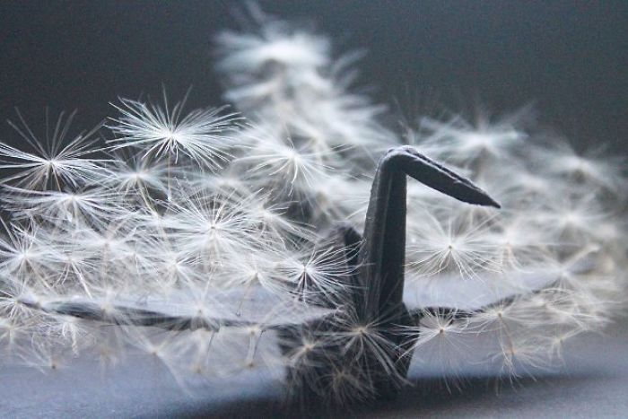 I Folded And Decorated An Origami Crane Every Day, For 1000 Days