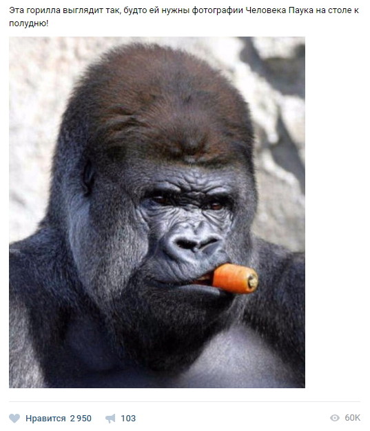 Смешные комментарии и высказывания из социальных сетей высказывания, комментарии, прикол