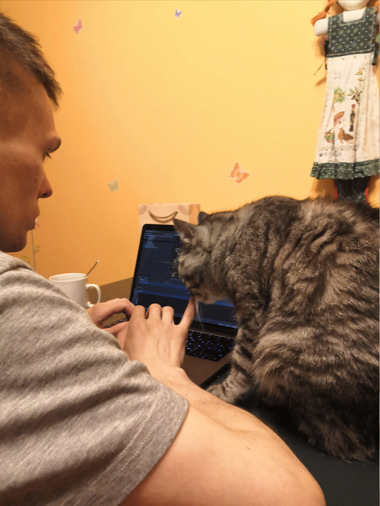«Продавать телефоны — это не моё»