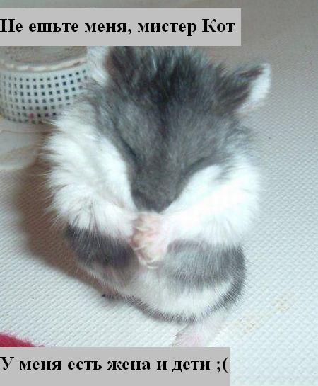 Мысли вслух :) Мысли вслух :)