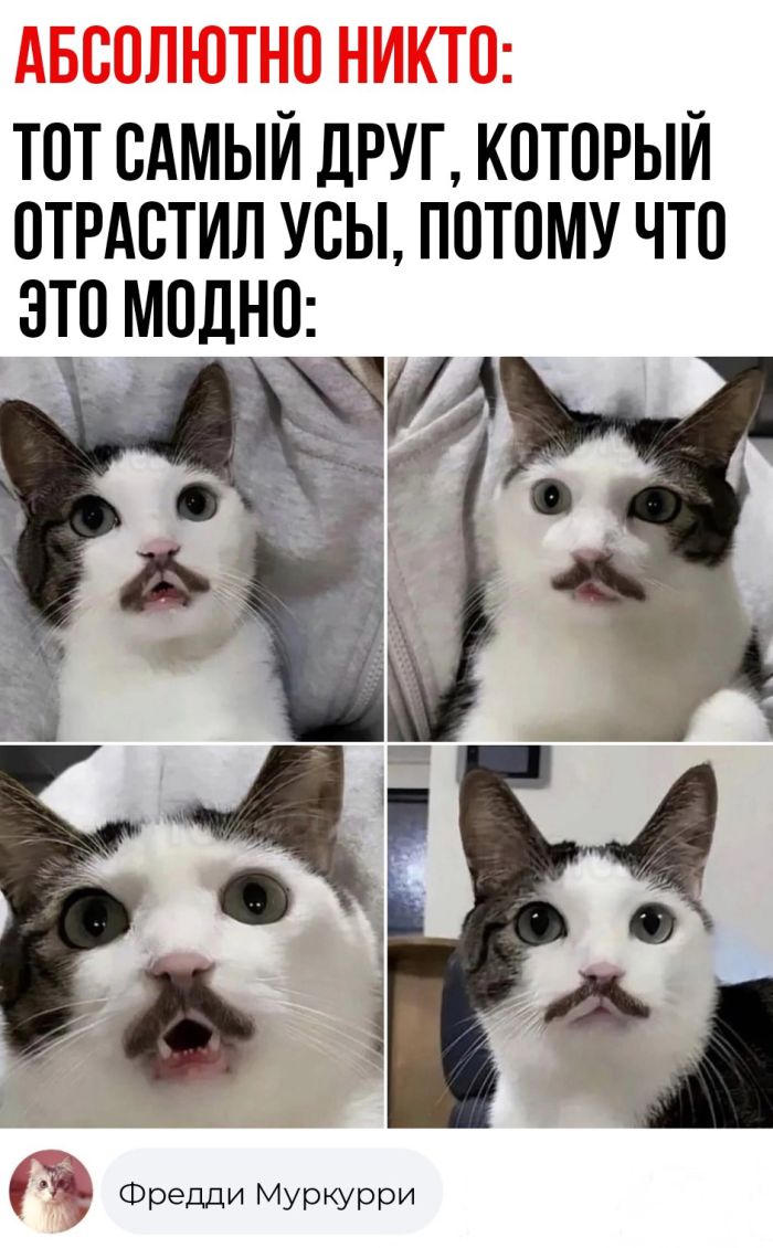 Комментарии с перчинкой — приправляют пост, как острый соус 