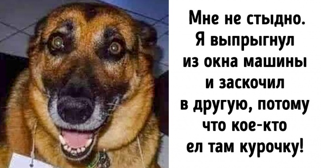 Милые и бессовестные...