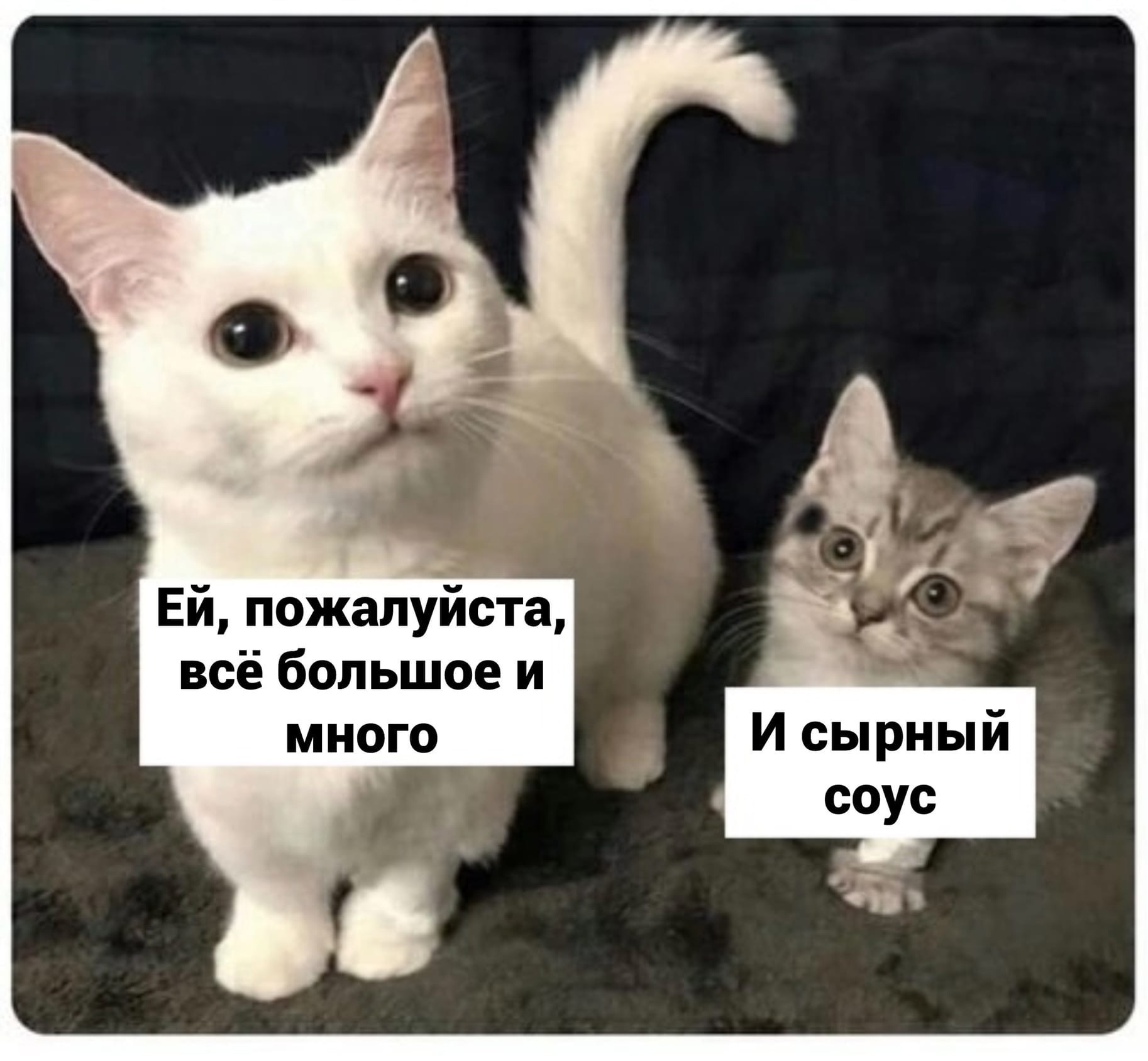 Юмор из интернета 689 позитив,смех,улыбки,юмор