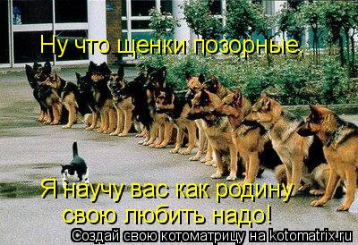 Мысли вслух :)